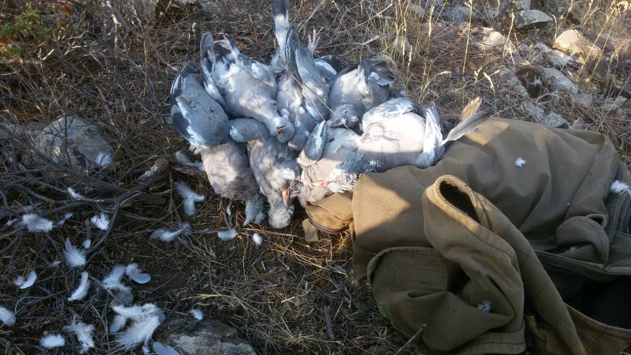 Cyprus Hunting Magazine Limassol Cyprus